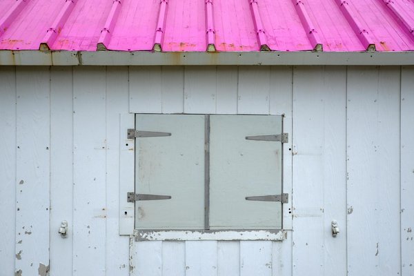 Voyage en solo: vivre l'aventure safari