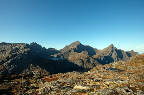Comment le volontariat peut vous aider à trouver un hébergement gratuit
